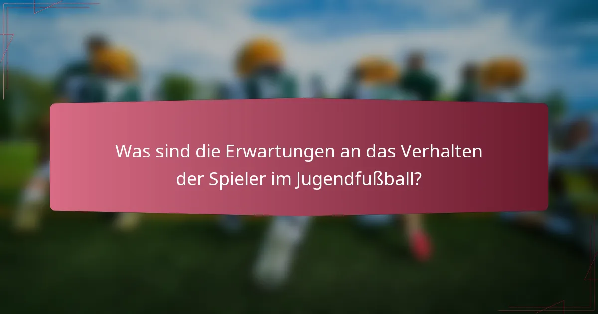 Was sind die Erwartungen an das Verhalten der Spieler im Jugendfußball?