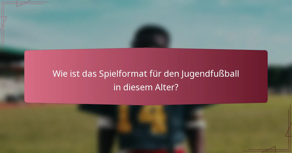 Wie ist das Spielformat für den Jugendfußball in diesem Alter?