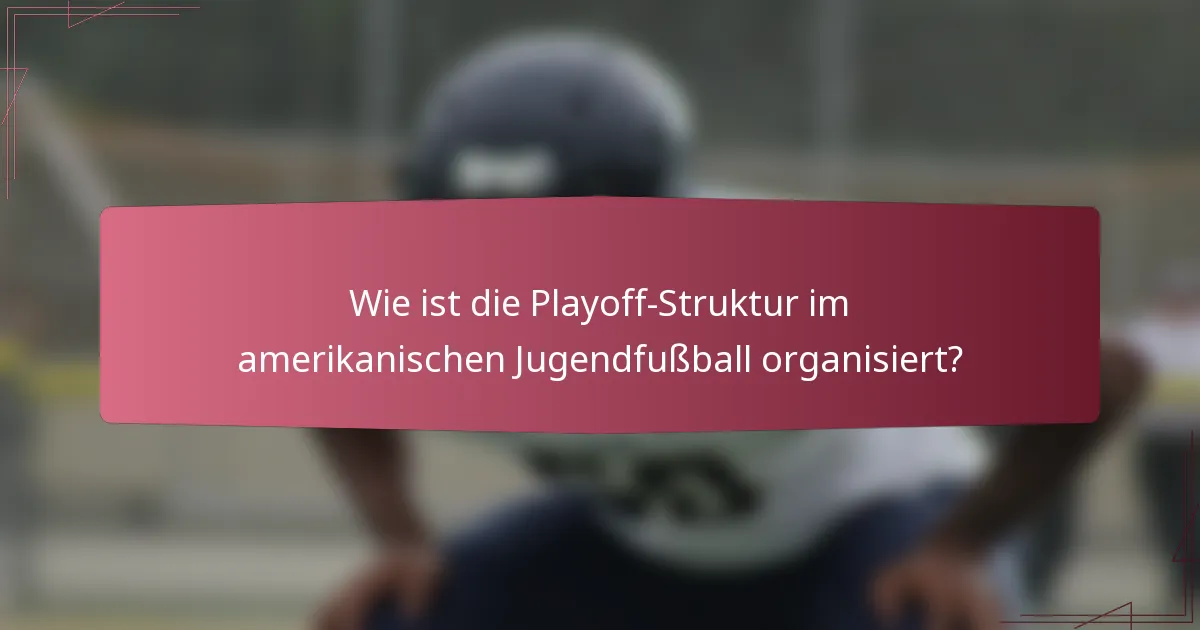 Wie ist die Playoff-Struktur im amerikanischen Jugendfußball organisiert?